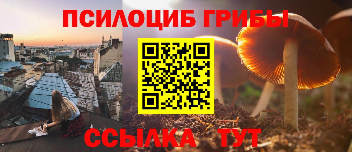 Галлюциногенные грибы Psilocybine cubensis Братск